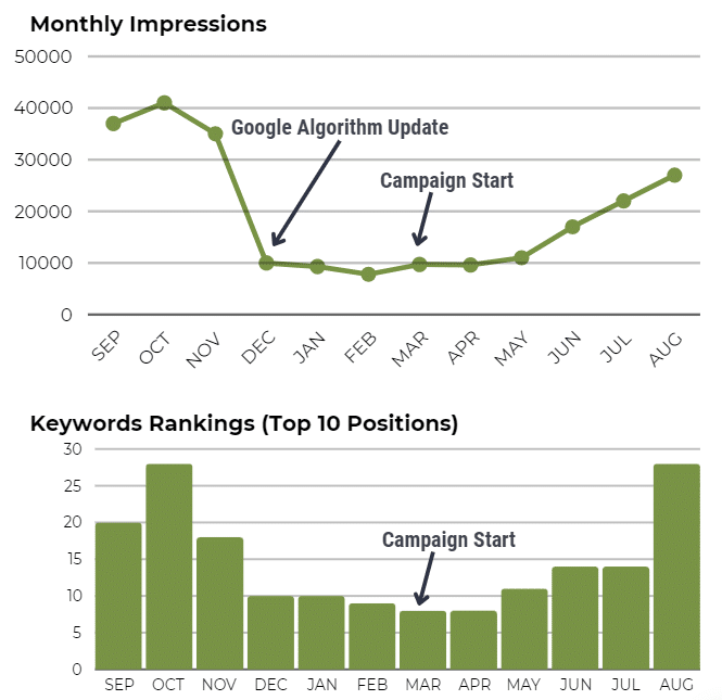 graphs showing SEO data